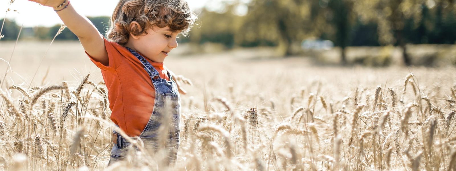 Cuándo acudir a un psicólogo infantil